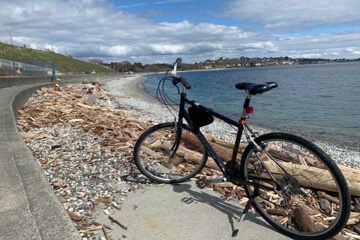 Bicycle parked on a coastal path, near a rocky beach with driftwood and calm sea on a cloudy day.